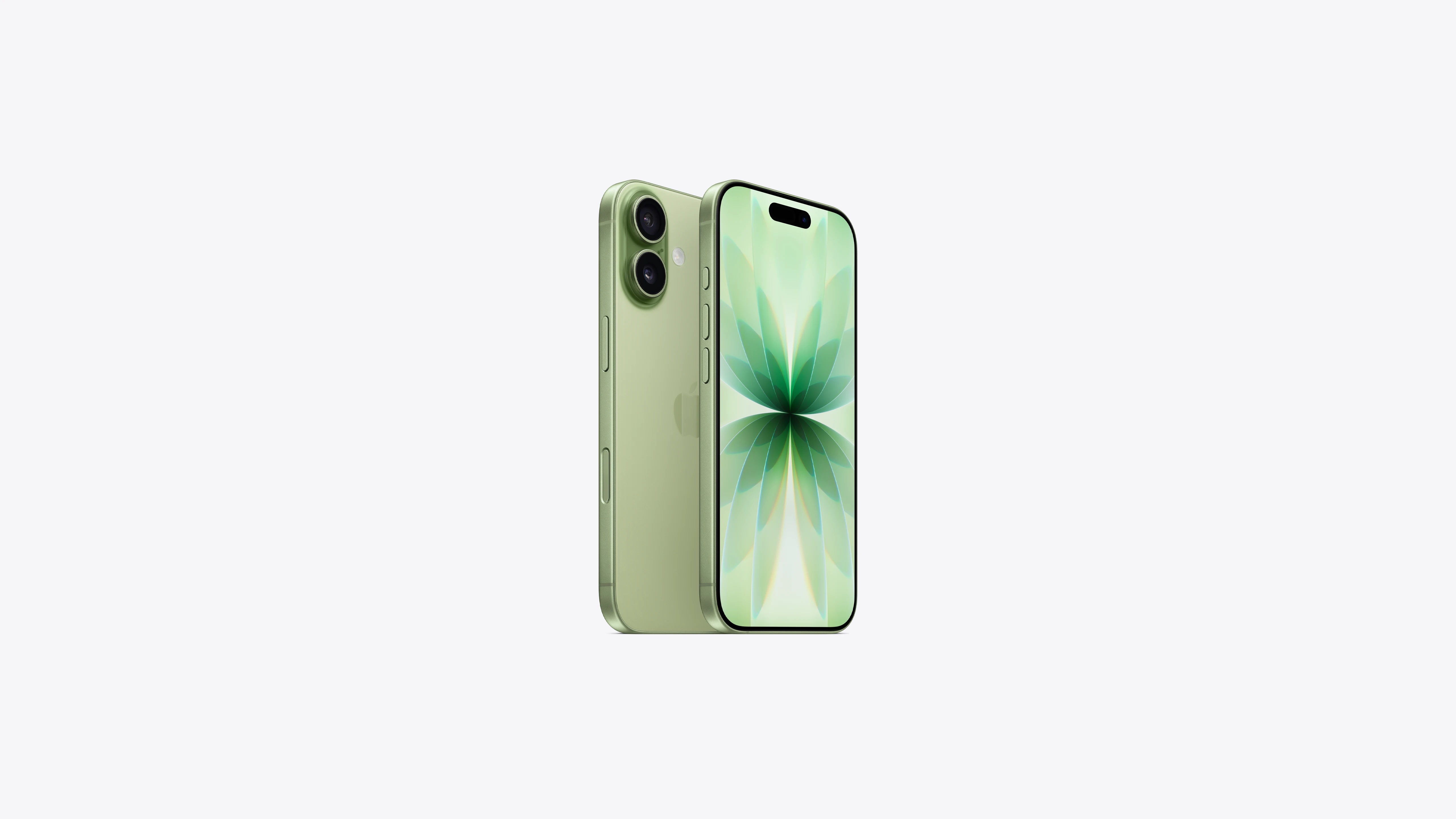 Apple iPhone 17 256GB Sage — 5