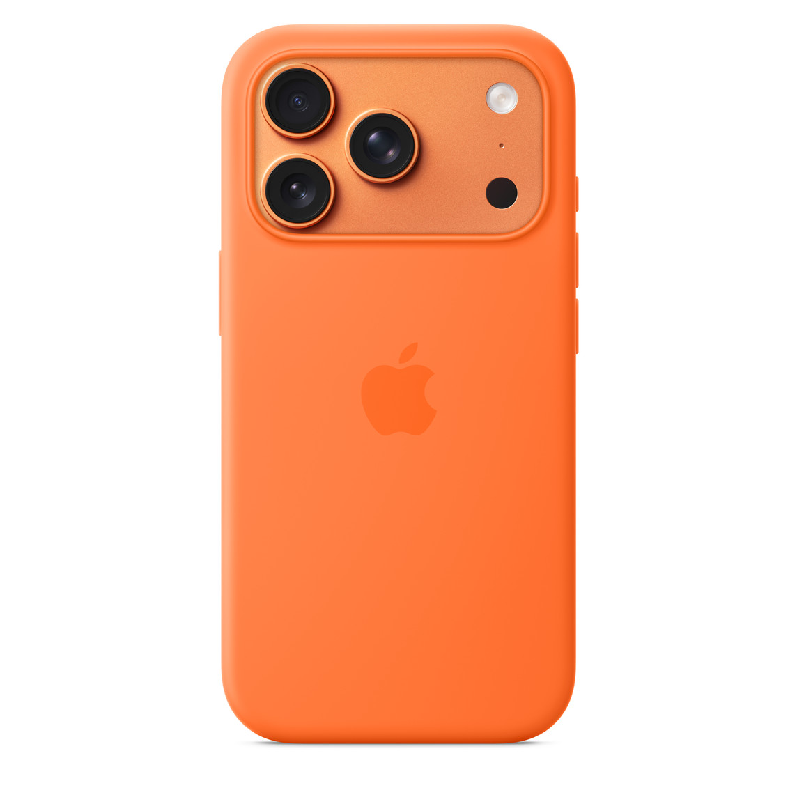 Apple iPhone 17 Pro Case