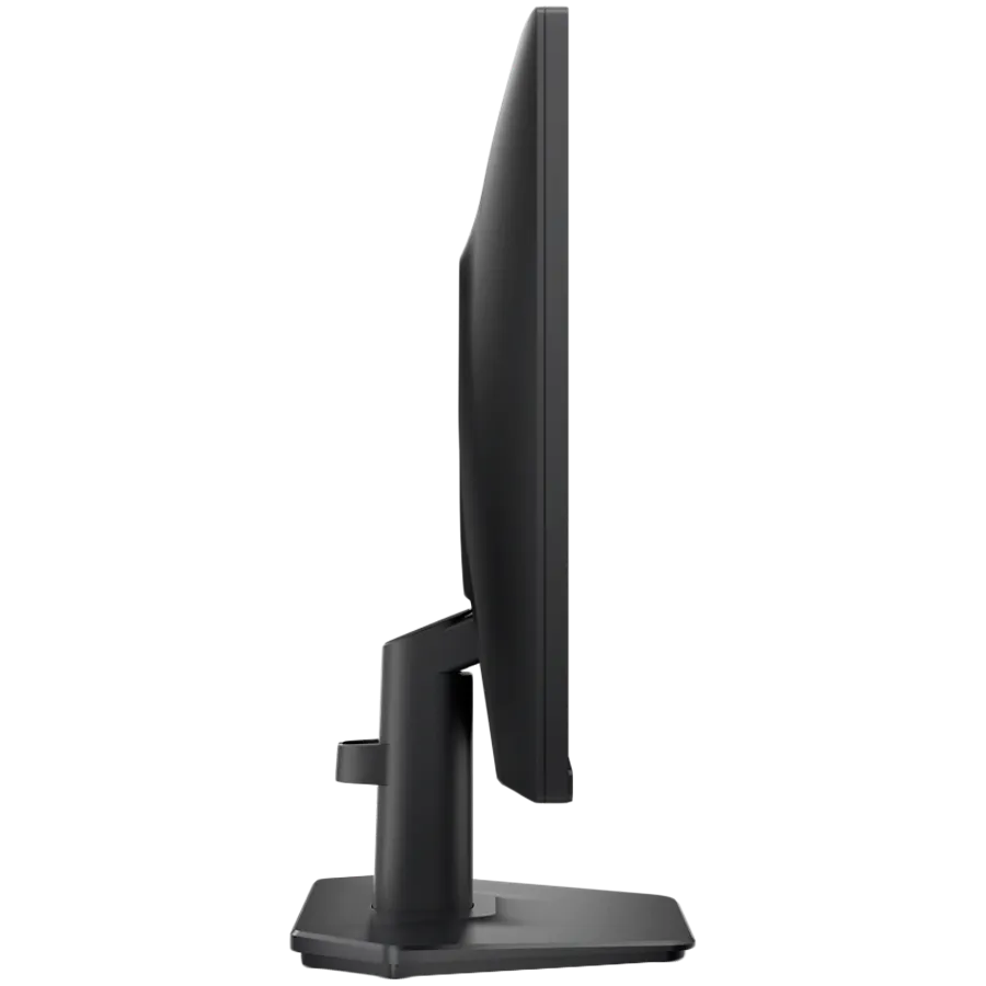 Dell Monitor 24 — 3
